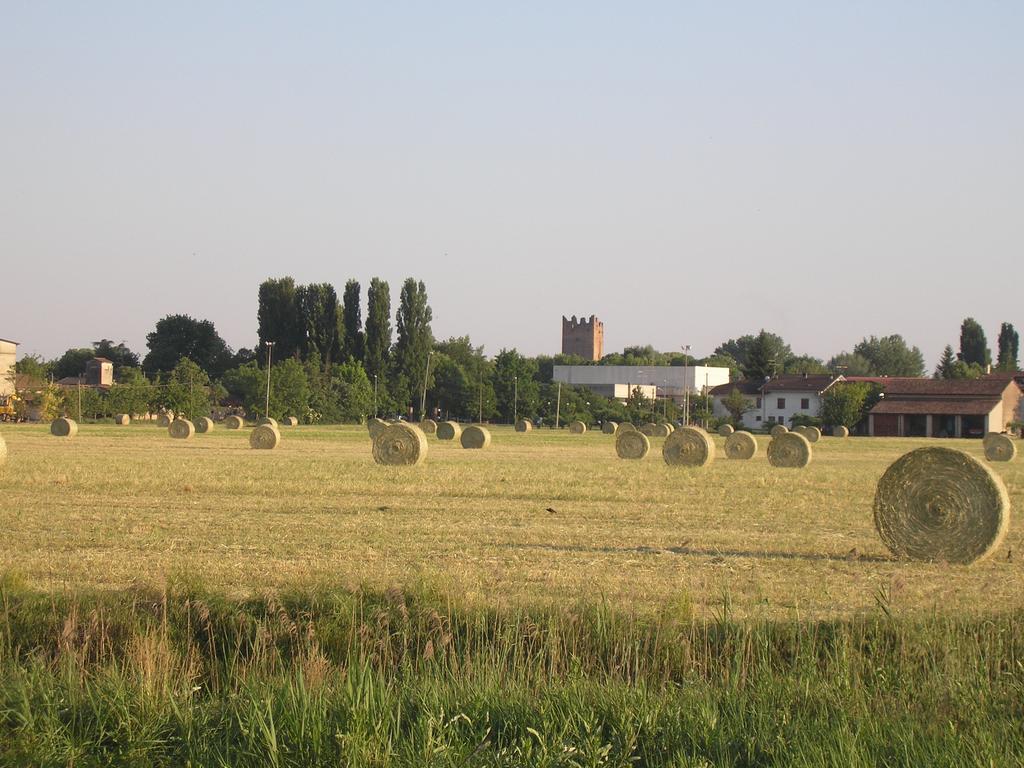 Agriturismo Boschi Villa Reggiolo Eksteriør billede